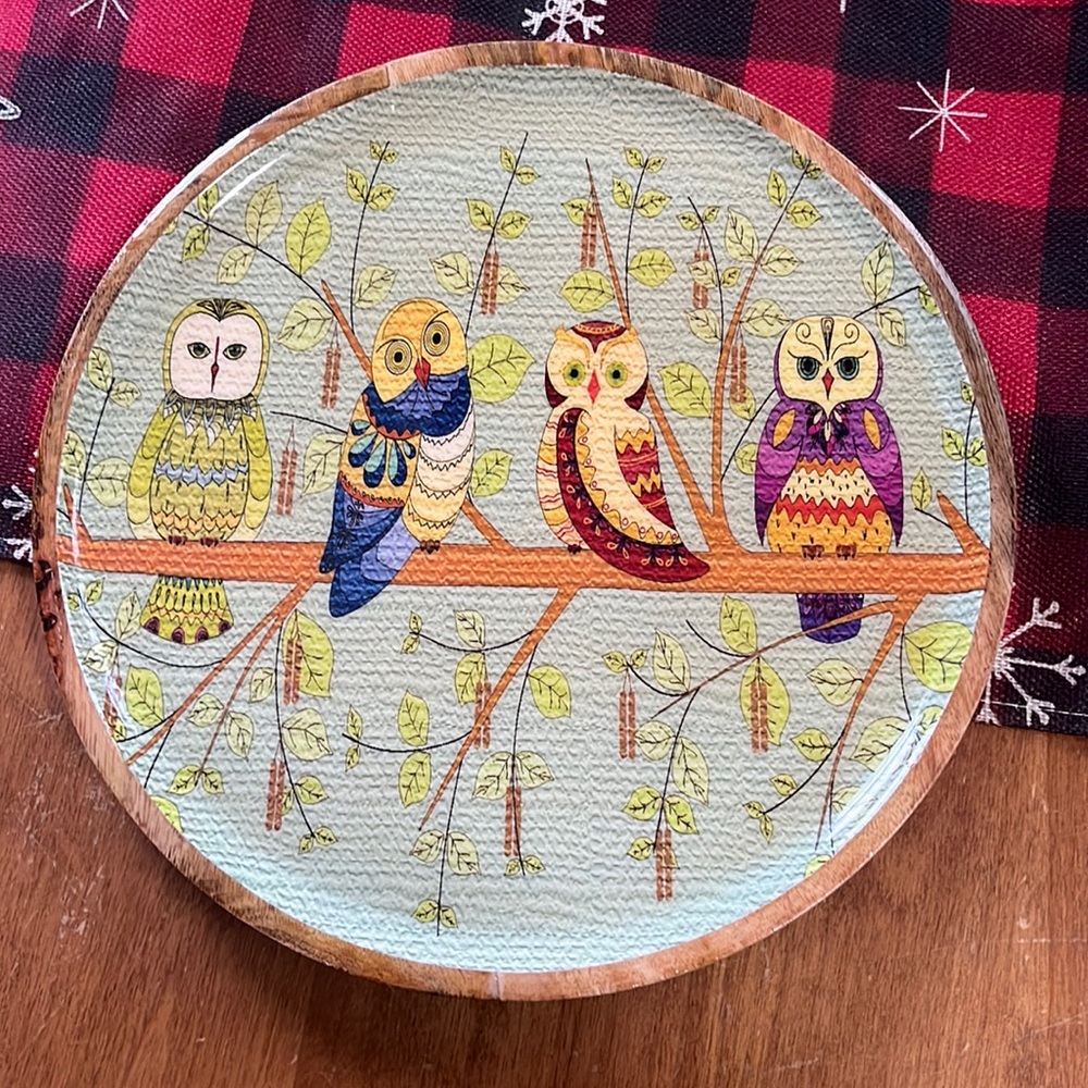 🦉 Stunning Owl Plate